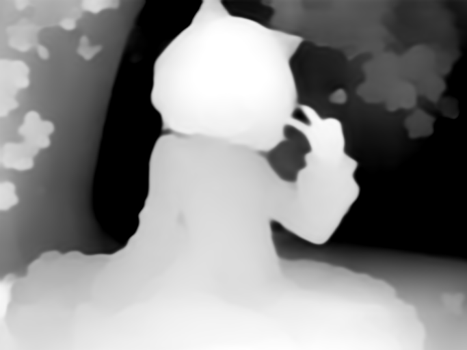 depth_zoe