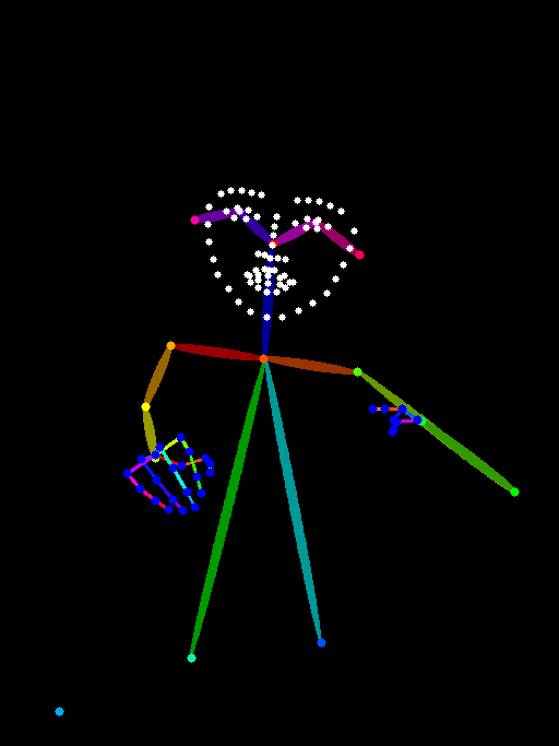 dw_openpose_full