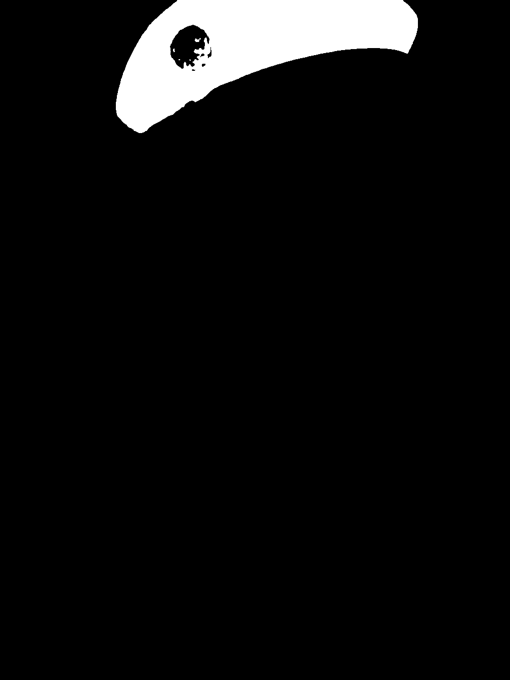 segment_anything_result_1_4