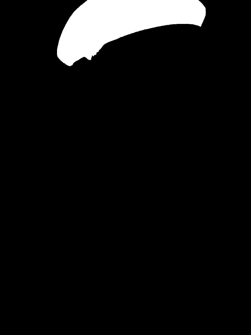 segment_anything_result_1_5
